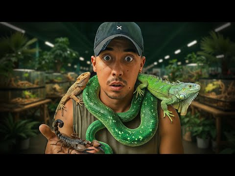 Are illegal animals being sold freely?