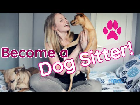 How to MAKE MONEY as a DOG SITTER
