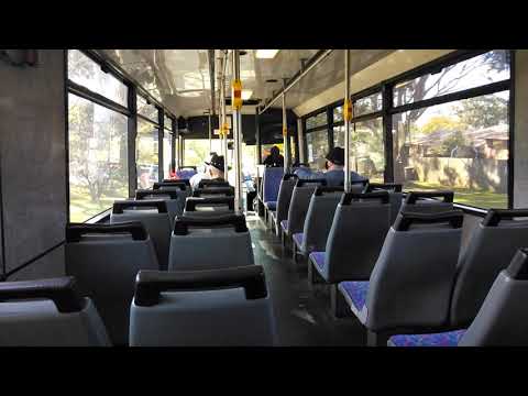SCTV 404: M/O 7382: 969 Gymea to Sutherland Mercedes O405 Custom Coaches 510 (Loud ZF)