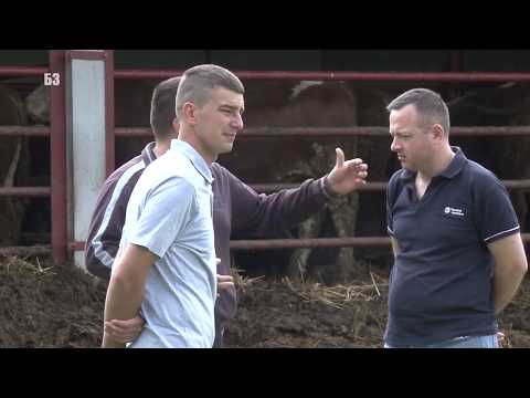 PRAVITE OBJEKAT ZA TOV JUNADI  ? evo finesa  - MLADI MOMCI su TO SMISLI do detalja