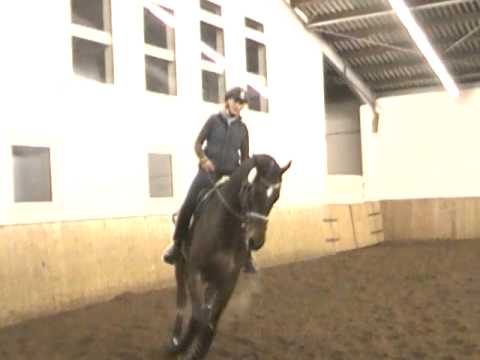 Lemony's Nicket in Schlieckau