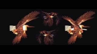 (+Hidden Track) - Black Lips