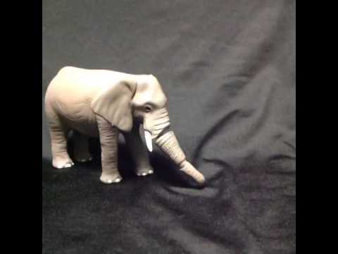 「AWZ」は、アニア・ニーディークの人生の困難な時期を乗り越えるのに役立ちました