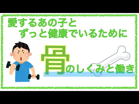 マルピッサ・ムスコサ