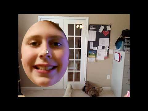 Mystman12s Epic Entertainment 3-Pack Walkthrough (Crazy Baby, Wher's Gibby, Epic Elevator Adventure)