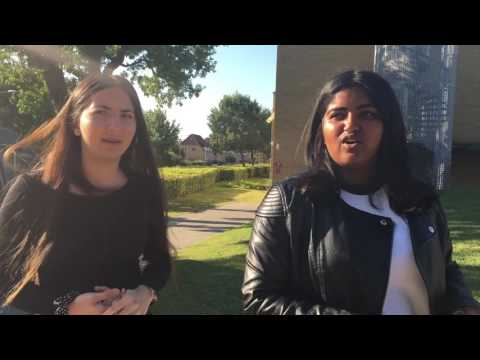 Social identitetsteori