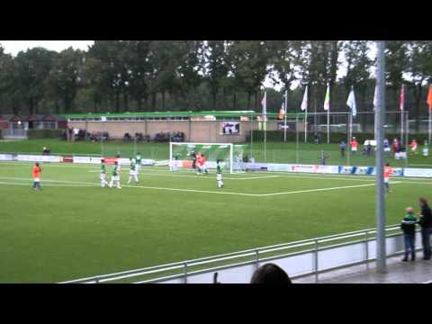 Samenvatting VVOG - Fc Horst