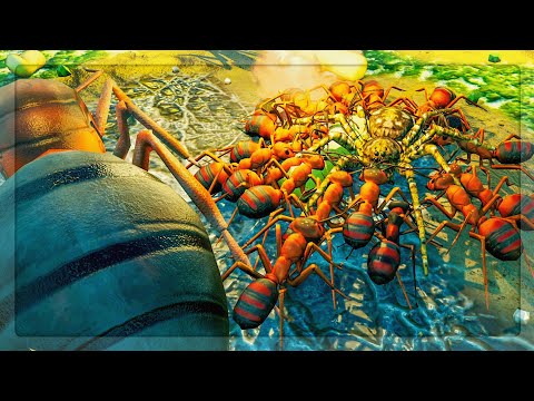 Wood Ant Queen VS ENDLESS Beach Wolf Spider in Empires Of The Undergrowth