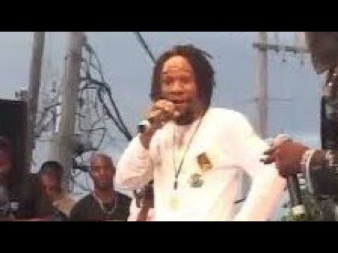 ninja man bring zebra to island explosion