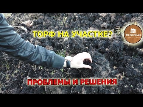 Торф на участке? Проблемы и решения