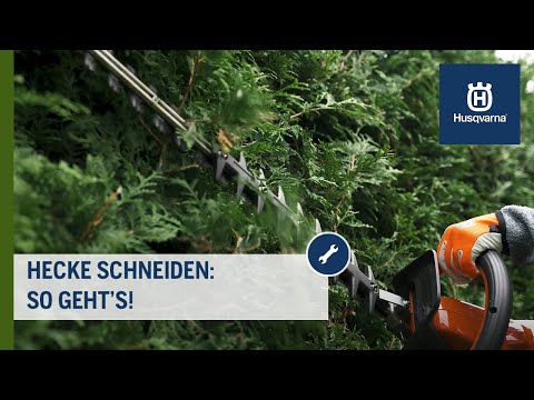 Hecke richtig scheiden: Praktische Tipps vom Profi | Husqvarna Garten