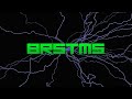 BRSTM Forest Maze Dance Mix 