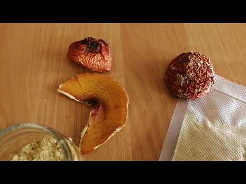 КАК НАЧАТЬ ЕСТЬ МУХОМОРЫ? МИКРОДОЗИНГ МУХОМОРОВ ЛУЧШИЙ ВАРИАНТ