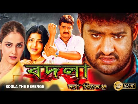 Bodla The Revenge |South Action Dub Film |NTR Juniur | Bhumika Chawla | Genelia D'souza |Prakash Raj