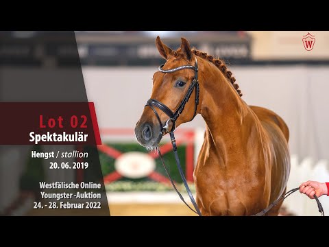 Online Youngster-Auktion Lot 2 Spektakulär Hengst v. Sir Heinrich - Florestan l