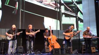 WALK THROUGH THIS WORLD WITH ME by SELDOM SCENE