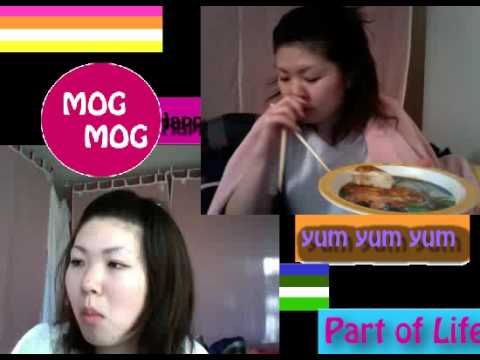 MOGMOG project digest