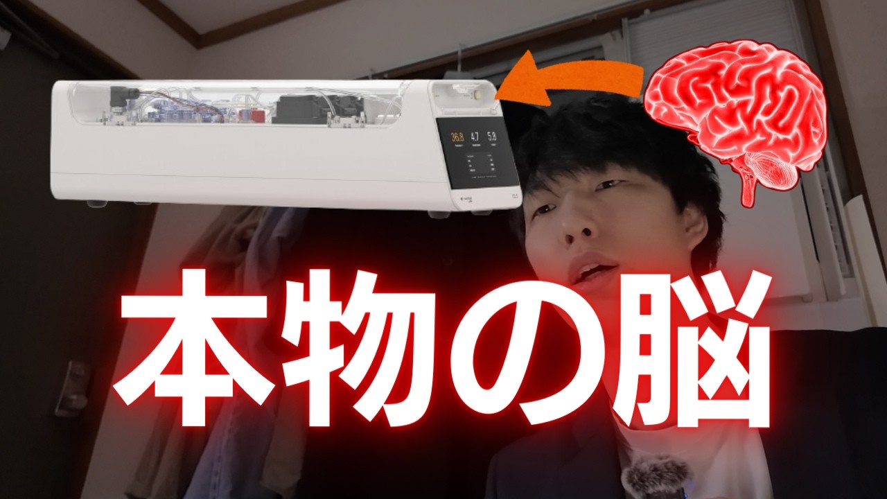 【衝撃】ヒトの脳でできたコンピュータが発売されたので徹底解説します