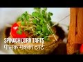 Spinach & Corn Tarts | Saffola Fit Foodie | How To | Healthy