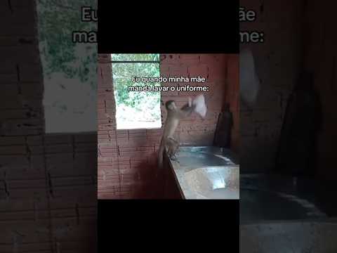 a minha pia sofre demais #fypシ゚viral #memes #vem7k #go11k #humor #relogiotop #filme #edit #kpop