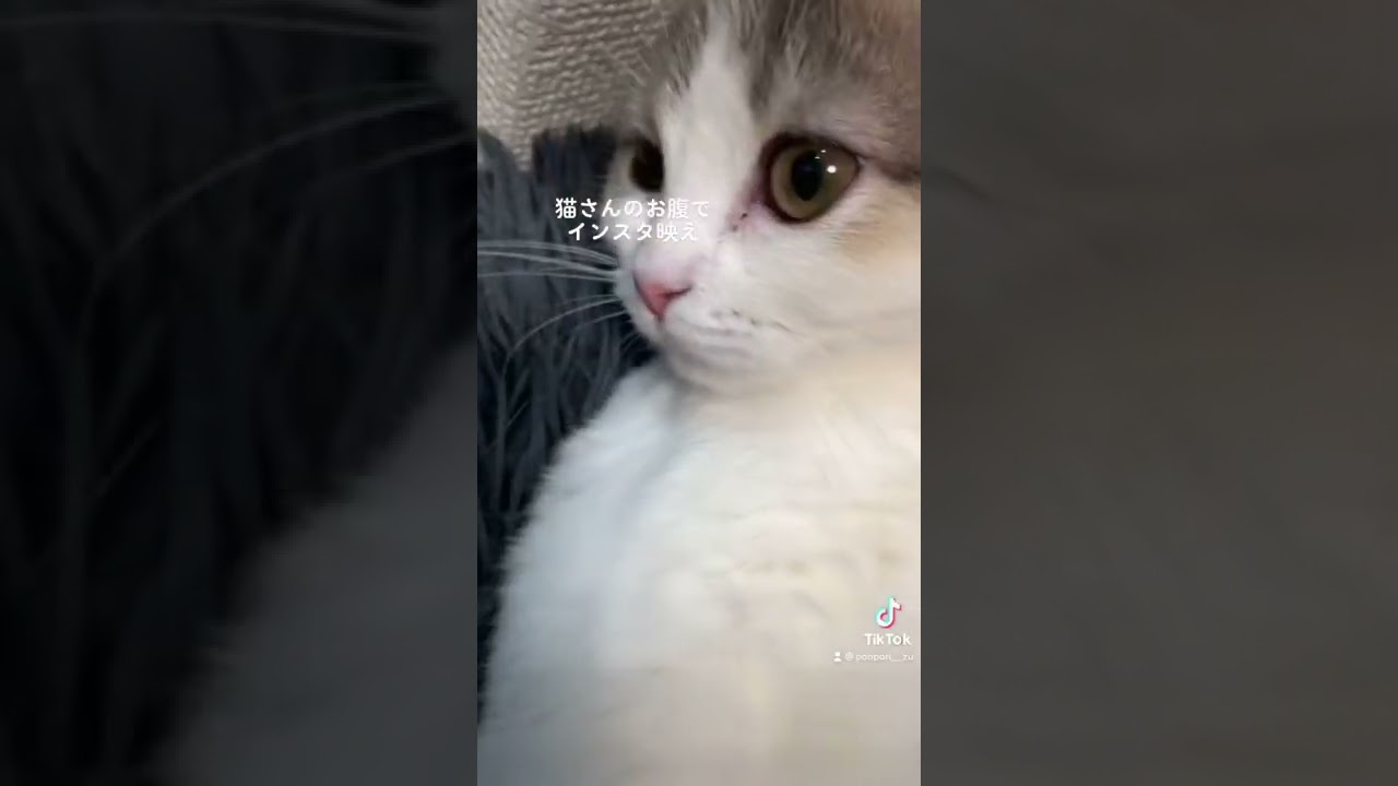 インスタ映えの裏側はこうなってます…#shorts