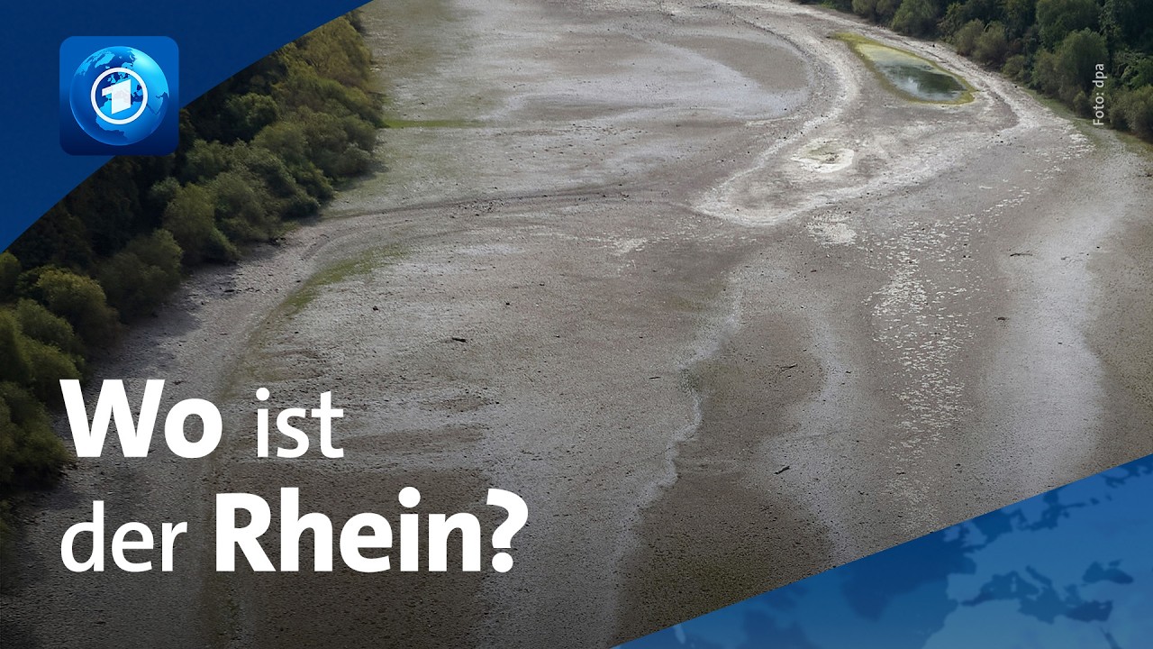 Rhein hat zu wenig Wasser: Wenn Flüsse austrocknen