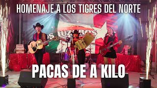 Los Luzeros De Rioverde - Pacas De A Kilo | Homenaje a Los Tigres Del Norte