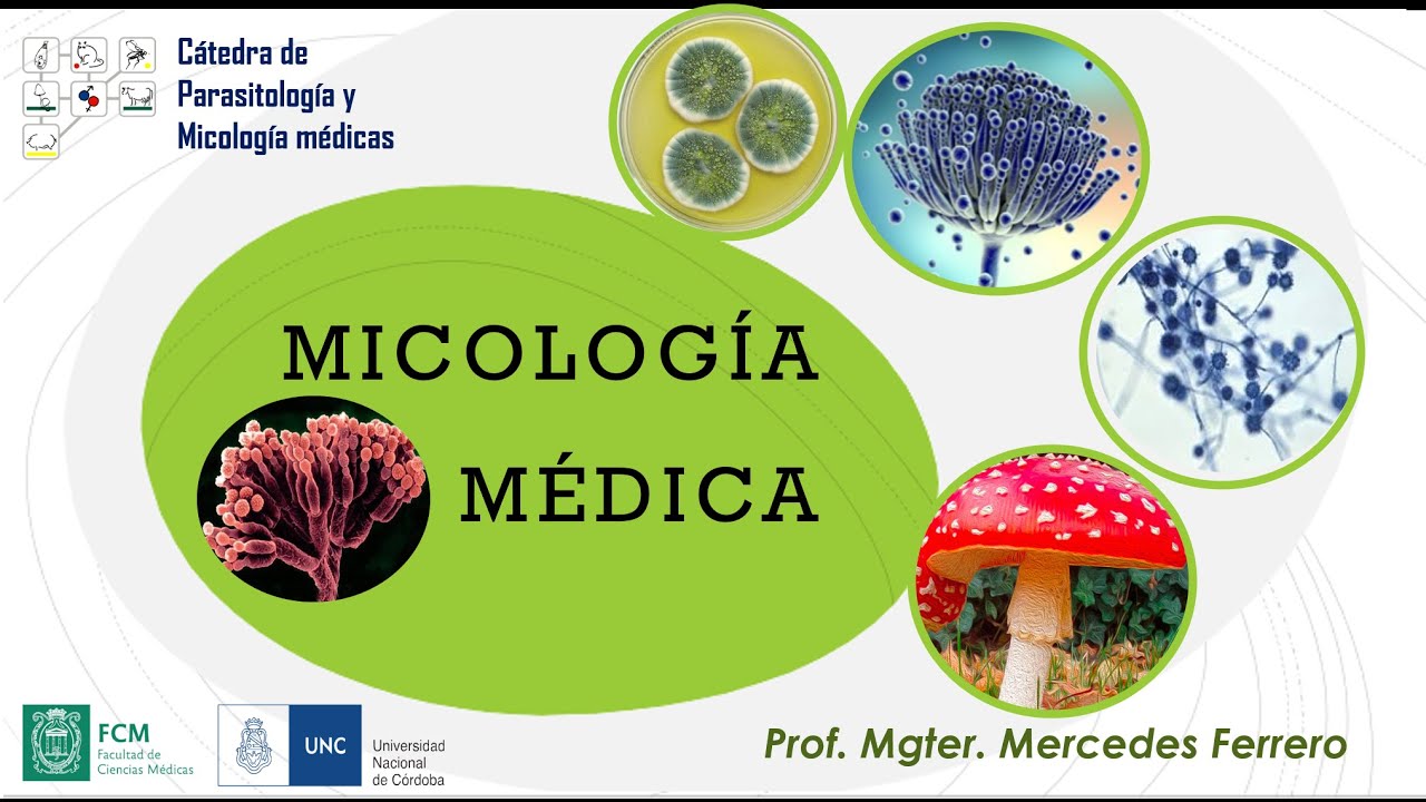 MICOLOGÍA MÉDICA