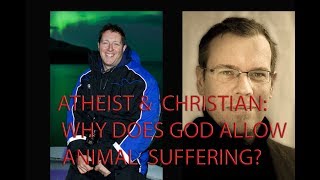 Why does God allow animal suffering? an Atheist and a Christian debate