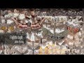 Flight to Light Moths - John Palting - Arizona Public Media Flight to Light Moths - John Palting