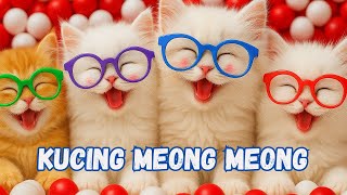 Download lagu ANAK KUCING MEONG MEONG - KUCING LUCU KUCING PERSIA -  KUCING GEMOY  KUCING IMUT - LAGU KUCING mp3