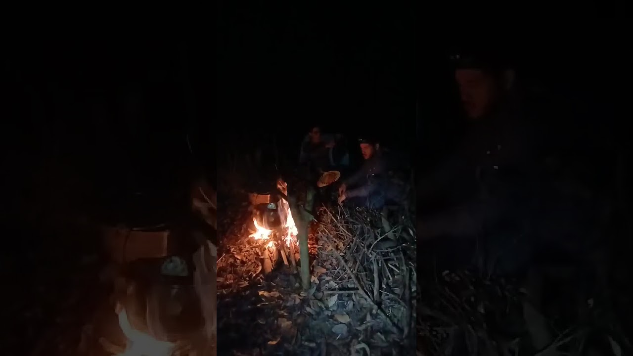 Video 2 de la galería: expedición en la Amazonía peruana