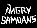 Angry Samoans  -  You Stupid Asshole