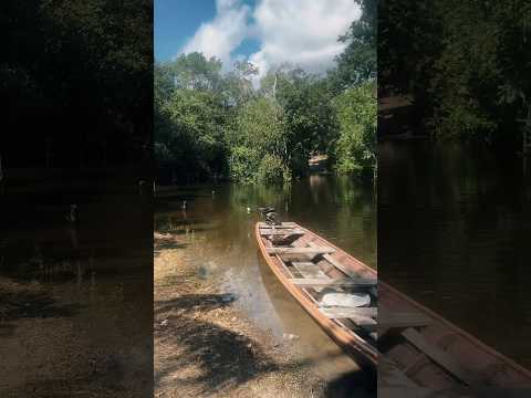 Log completo no arraial da teca em tefé Amazonas