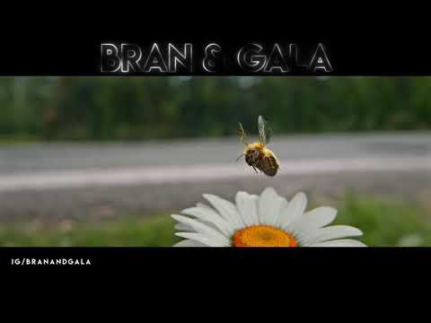 Bran & Gala - Sweet Beats Are Made Of This [Mashup] ft Eurythmics, Ummet Ozcan & Bassjackers