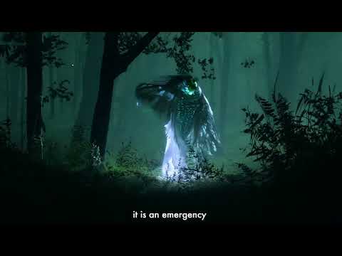 Björk: Nature Manifesto - A sound installation at the Centre Pompidou @centrepompidou, Paris