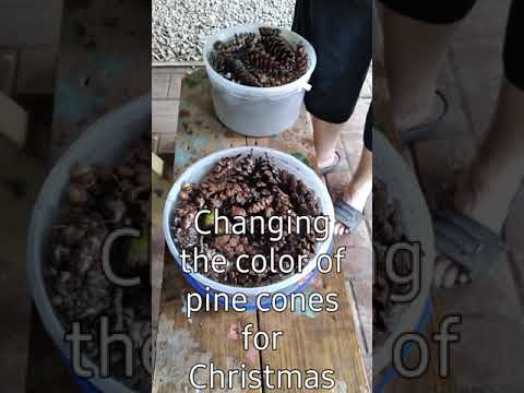 changing the color of pine cones