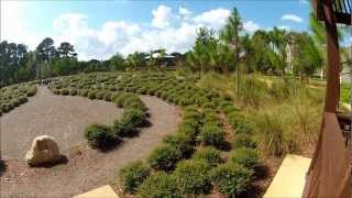 preview picture of video 'Bird Island Park Ponte Vedra Beach, Florida'