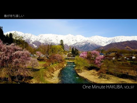 【白馬村】One Minute HAKUBA Vol.97 - 3/22