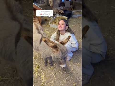 יסמין עומרי #foryou #תנוסאב #שורטס #טיקטוק #fyp