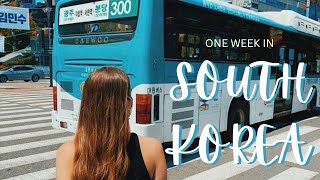 South Korea Itinerary, 7 Days | Seoul, Jeonju, Busan, Jeju