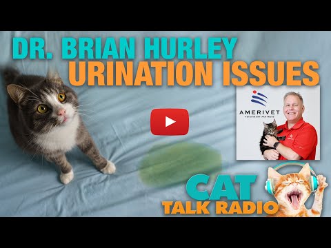 Cat Talk Radio - Urination Issues with Dr. Brian Hurley
