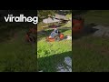 Lawn Mower Takes A Swim ViralHog