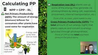 1.8 Primary Productivity