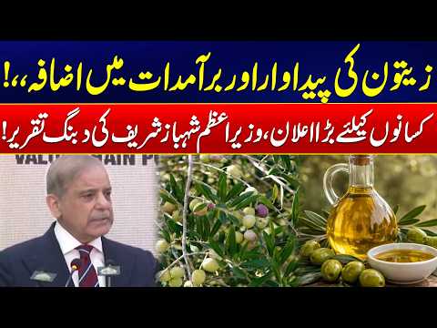 24 News video