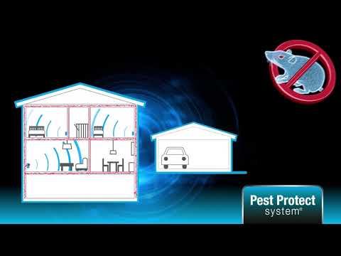 Mus & Råttfritt - Så fungerar det