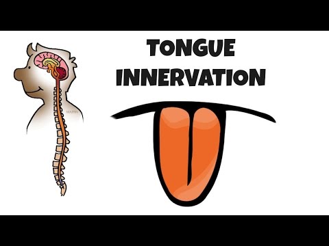 TONGUE INNERVATION (Insanely Made Easy)