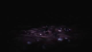 [ゆるホラー]リトルナイトメア2　初見