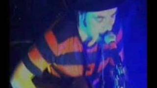 Mad Dog Mcrea &quot; Raggle Taggle Gypsy &quot;