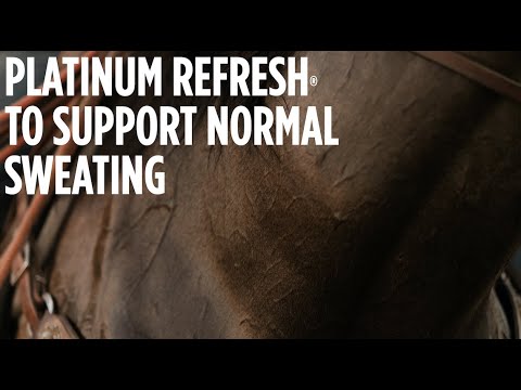 YouTube video about: Does platinum performance make horses hot?